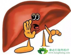 ��������(SORAFENAT)���Ʒ����Ե������Լ�״�ٰ�Ч������