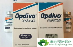 ���䵥��(Opdivo)��Yervoy���������״�ΰ�����������������