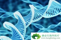 ������������֢ȫ������һ�����������۸��Ƕ��٣�