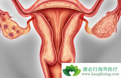 ��������(Olaparib)Ƭ���ɳ�������BRCAͻ����ѳ������ߵ�PFS