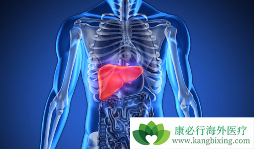 �༪����Ч