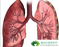 ӡ�����޿�/�������ᵥҩ�������ڷΰ���Ч����