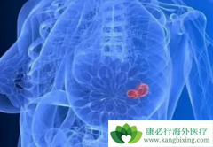 ��˹̹��������̹������OFS��5�������ٰ��¼����Ի���4%