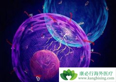 ����ҽ�����з����˹�����ϸ�����ı����ڵ���������