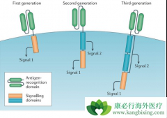 cartϸ���Ʒ�yescarta��kymriah�����������պ�������˳��