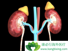 ��������/��̹���иζ�������������ҩ�ڼ�Ӧ���ι���