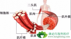 ��Ѫ��ҩ��ʩ����/��ɳ��������ͬʱ���ƶ��ϼ�Ӫ������