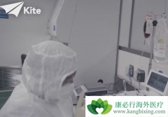 ϸ�����ӷ籩���Ѱ�ЧӦ�Լ��񾭶���������CARTϸ���Ʒ�������