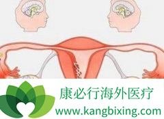 ������Ƭ����߶����ѳ��ۺ������ߵ�����Ч����������