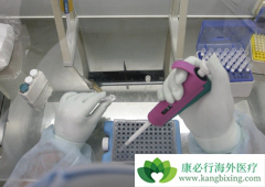 CARTϸ�������Ʒ�ͨ���Ի���Tϸ���ı����ǿʶ����������