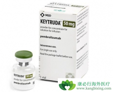 PD-1���Ƽ��������ں�ɫ������������ͳ���ض�֪��