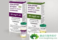 ������ɳ(Folotyn)�ļ����÷���ע������ 