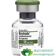 ��֢�����Ʒ�PD-1�����������߼������ҩ��