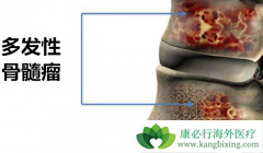 �෢�Թ���������������/�������������ڼ�Ӧ�������඾��