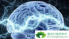 ����/�������׶Կ�NMDA����������һ����Ǳ�����������Ʒ���