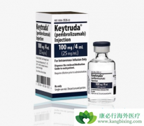 PD-1���Ƽ�Opdivo��Keytruda�����������Ʒ����������ĵ�λ