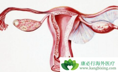 ����˹͡/��ά͡���ϻ����Ǹ�����LGS�ѳ�������Ч���Ʒ���