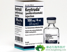 PD-1���Ƽ�Keytruda�ڷ�Сϸ���ΰ��������Ƴ�ԽOpdivo