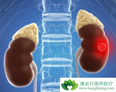 ��������һ�����Ƴ���ѡ���������ỹ�б��ҩ����