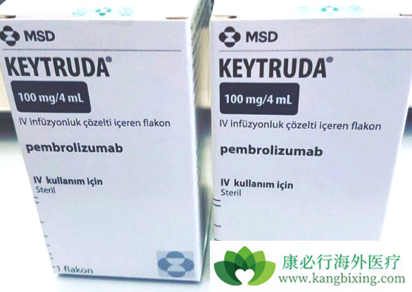 PD-1抑制剂 PD-1抑制剂