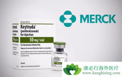 PD-1���Ƽ�������ҩ�ڶ��������������չ������Ч��