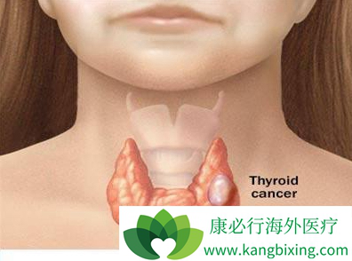 ��״�ٰ������ܻ���