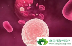 ���������쳣�ۺ����ǰ�Ѫ�������κ���