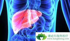 Խ��Խ��Ŀ��ΰ�ҩ���������ڸΰ������Ʋ�������