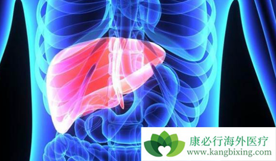 �ΰ�������