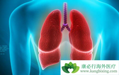 �Ӿ���ѧ�Ƕ����ѡ�����ڷ���״��Сϸ���ΰ�����ҩ��