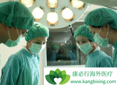 �ΰ��������ö��٣��ΰ�������ʳ��ô�����ڻ��߻ָ���