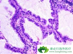 ��Сϸ���ΰ����ڻ������ϰ���ҩʹ�޽�չ�����ڸ���