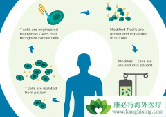 ���Ͱ�֢�������Ʒ���CARTϸ���Ʒ�����һ����ȱ��