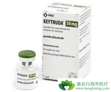 ��PD-1����Ϊ�����İ�֢�����Ʒ���չѸ�� PD-1��������Ч����