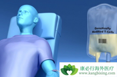 CARTϸ���Ʒ�������ʵ�����������򷢻���Ҫ����