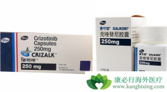 �ΰ�ҩ��������(crizotinib)��Ӣ���Ƽ�һ������ҩ��