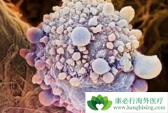 ��������(crizalk)���������ͻ��ķΰ�ҩ���ʲô�����ã�