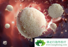 ��һ��ƿװ̩��ɳ(Tagrisso)�����ϼ���Incepta��ҩ����