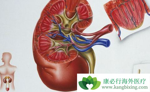 舒尼替尼 舒尼替尼