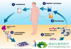 CART�Ʒ���ȫ����Ƕ�Ͽ�ԭ����Tϸ�������Ʒ�