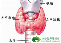 ��״�ٰ�֢״�ڳ���Ϊʲôû�б���