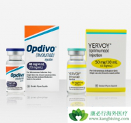 CTLA-4��PD-1����Ϊ��֢���ƴ�������ϣ��