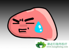 ŵΤ(TAF)TDFǰȫԻó