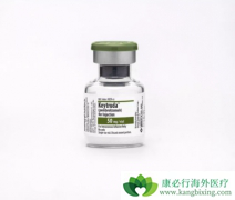 PD-1�Ǽ�CTLA-4���ֵ���һ����Ҫ�����߼������