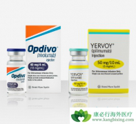 PD-1���Ƽ�Opdivo����Yervoy�ܷ���Keytruda����