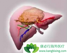 ���ΰ�ҩ������(STIVARGA)�����������ʹ��˳����������