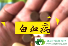 ��³����(IBRUTINIB)�ɴ���Ѫ�����϶�������CLL�нϺ���Ч