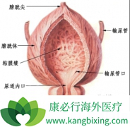 ����Щ���������ǰ��װ�֢״