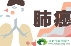 ���޿�/�������Ḩ������EGFR���Ե�NSCLC���߲����ӳ��޲�������