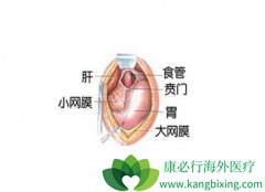 ��α������Ű��ķ��������Ű�֢״����Щ����